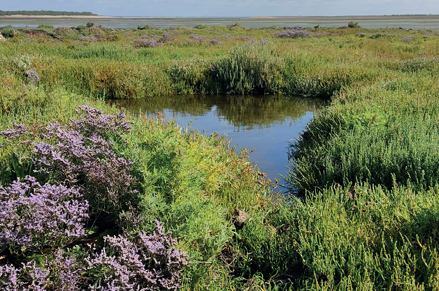 biodiversité